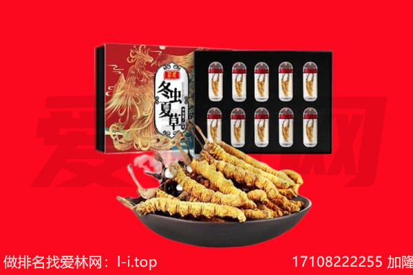 西宁回收虫草.jpg